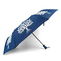 Conventional umbrella ：