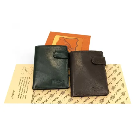 Ref:POCH1066 / CARTERA PIELINI