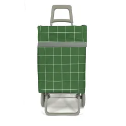 REF:ZZ306-2 / CARRO DE COMPRAN DOS RUEDA