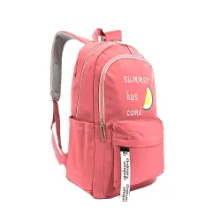 货号223008的学生书包批发