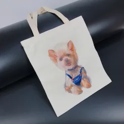 Bolsos moda：170091