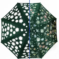 Long umbrella：1818 (12 unidad por paquetes)